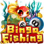 Câu Cá Bingo ga888 vn biz login